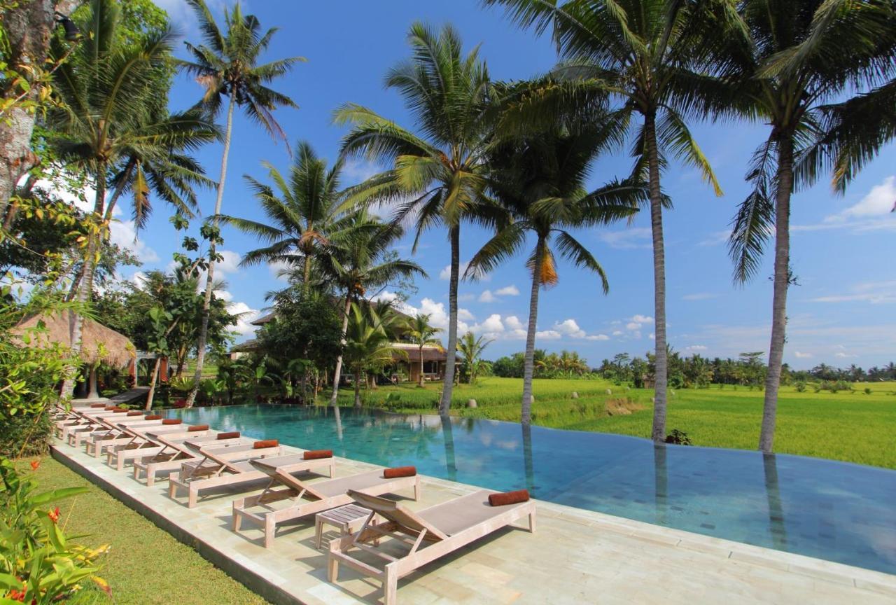 Mathis Retreat Ubud Zewnętrze zdjęcie