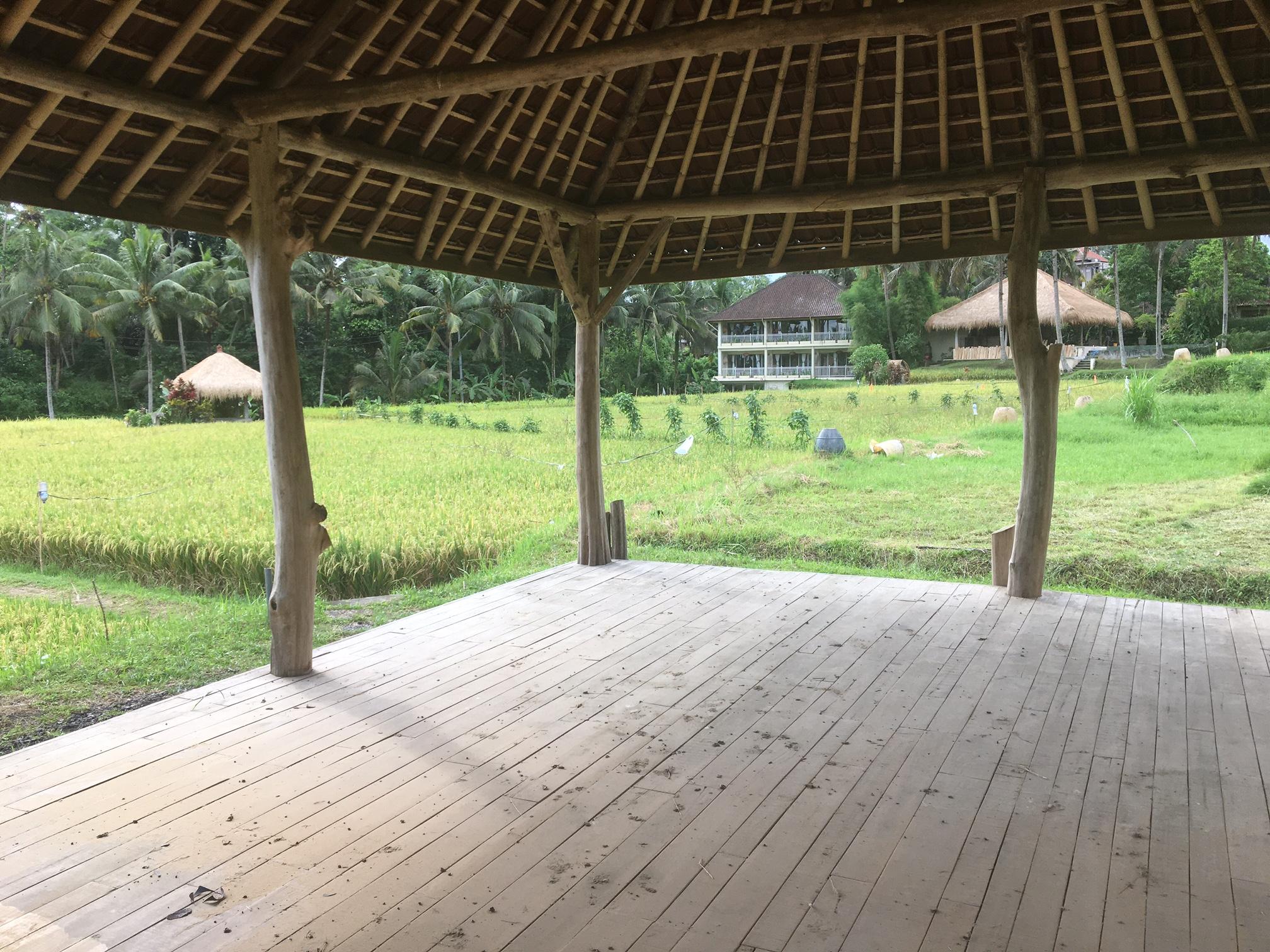 Mathis Retreat Ubud Zewnętrze zdjęcie