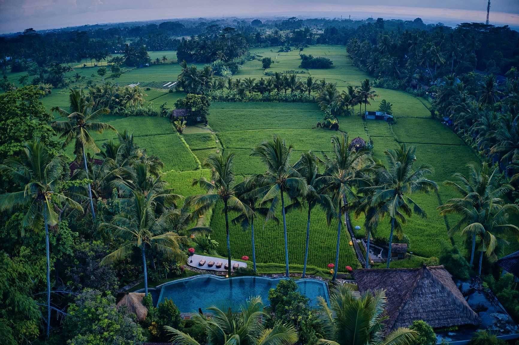 Mathis Retreat Ubud Zewnętrze zdjęcie