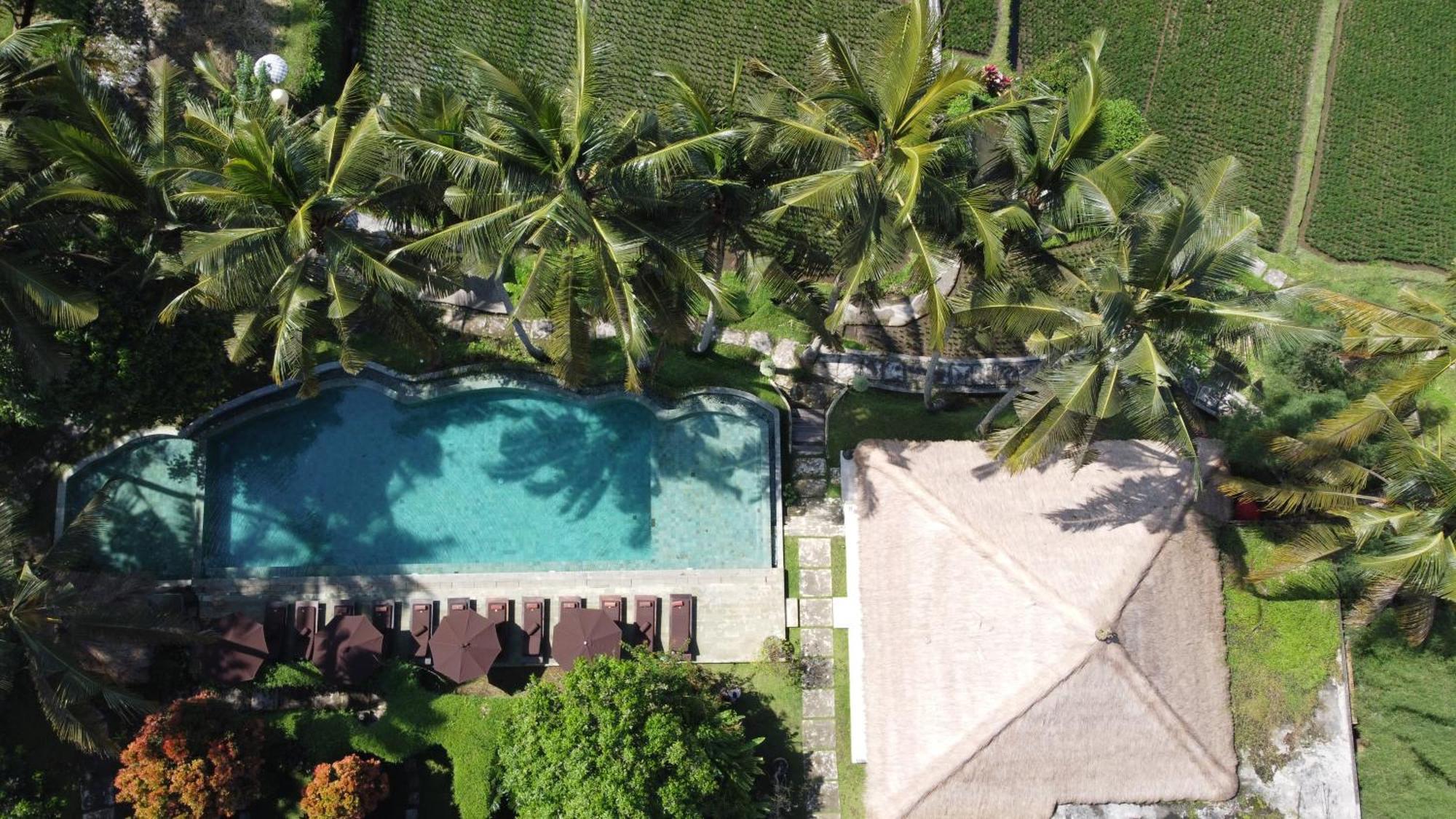 Mathis Retreat Ubud Zewnętrze zdjęcie