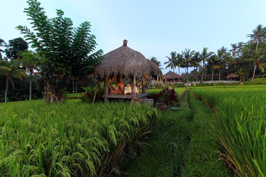 Mathis Retreat Ubud Zewnętrze zdjęcie