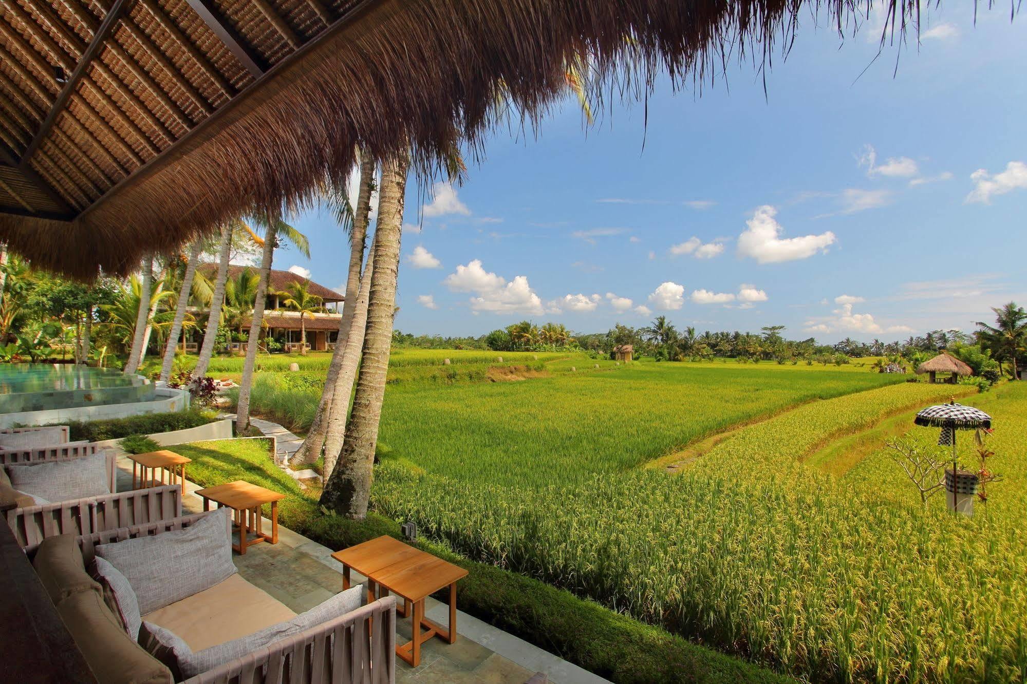 Mathis Retreat Ubud Zewnętrze zdjęcie