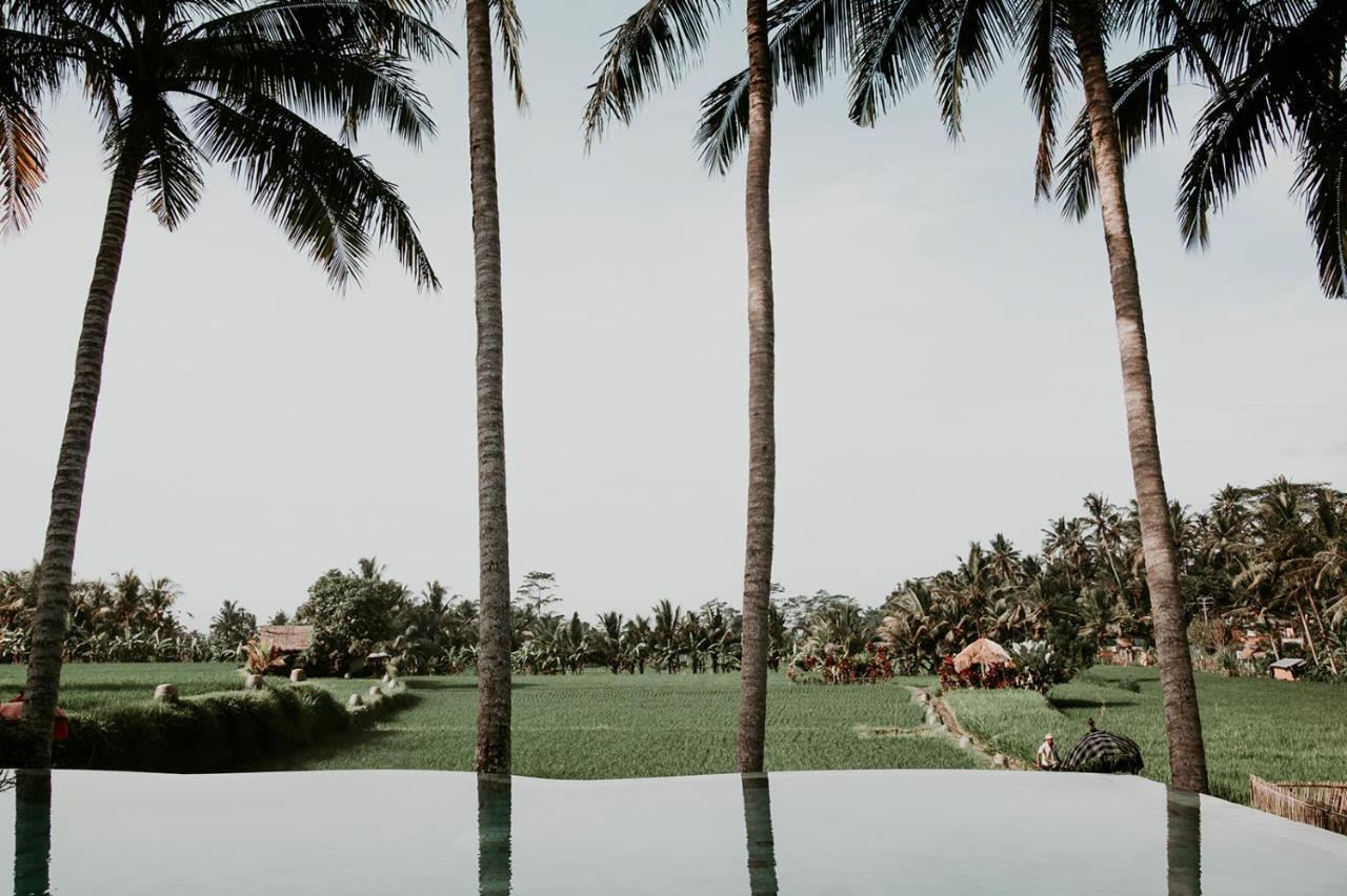 Mathis Retreat Ubud Zewnętrze zdjęcie
