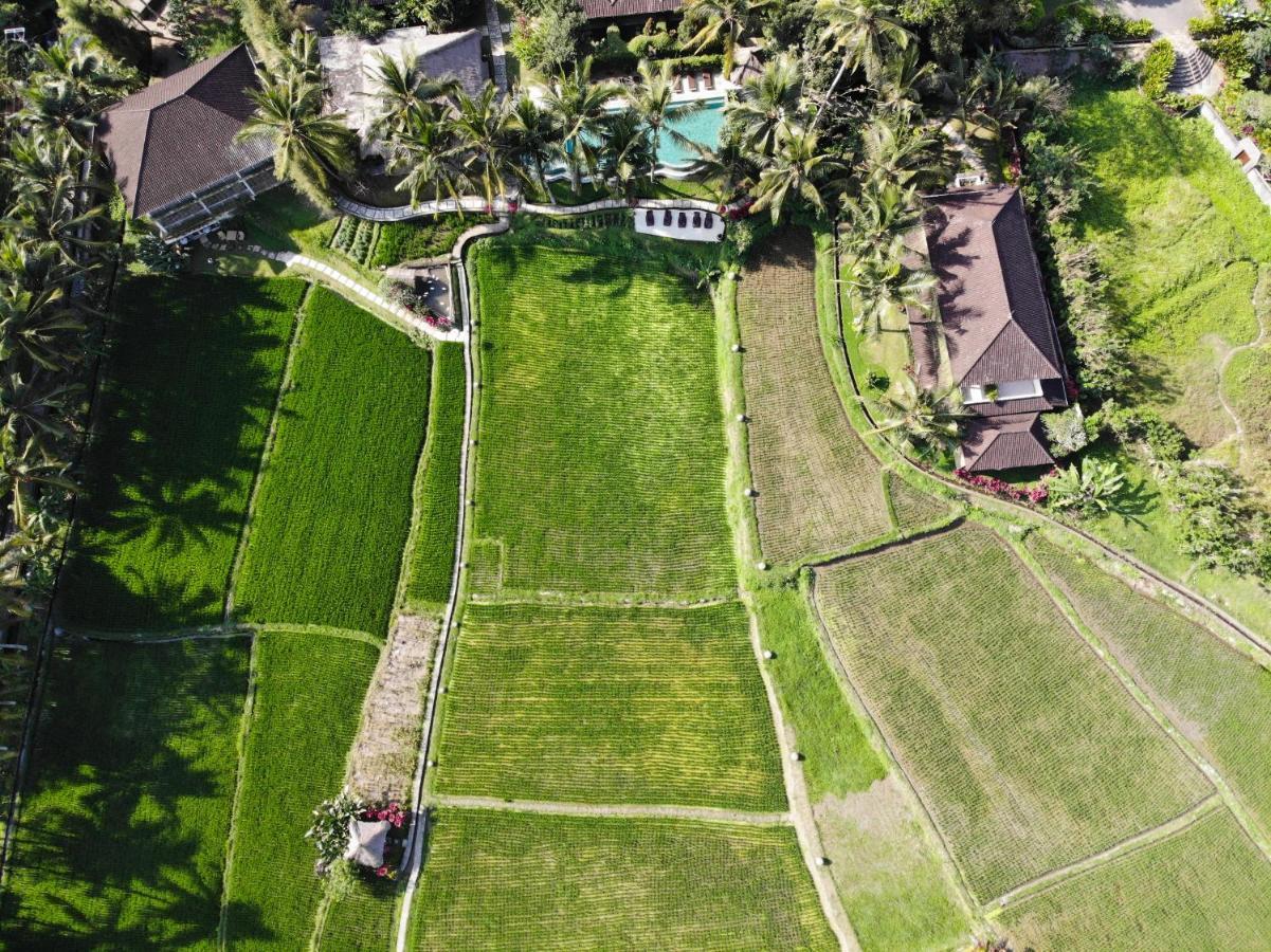 Mathis Retreat Ubud Zewnętrze zdjęcie