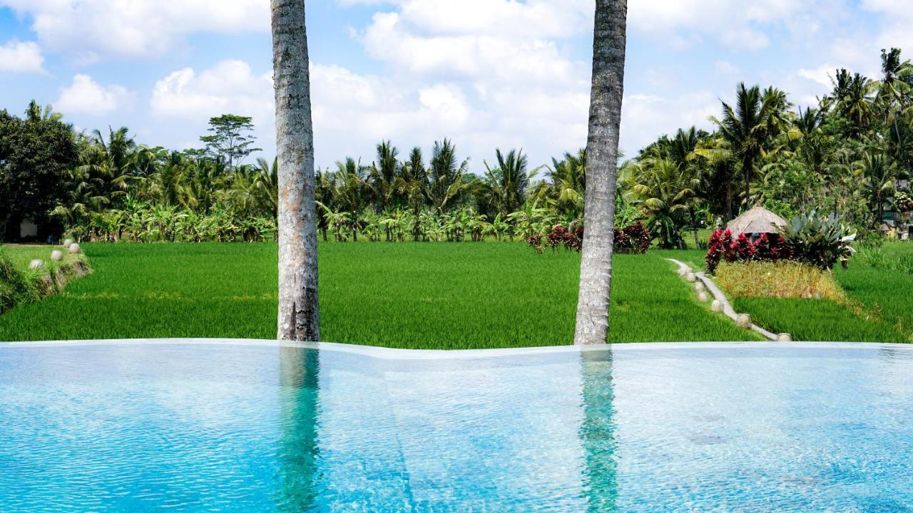 Mathis Retreat Ubud Zewnętrze zdjęcie