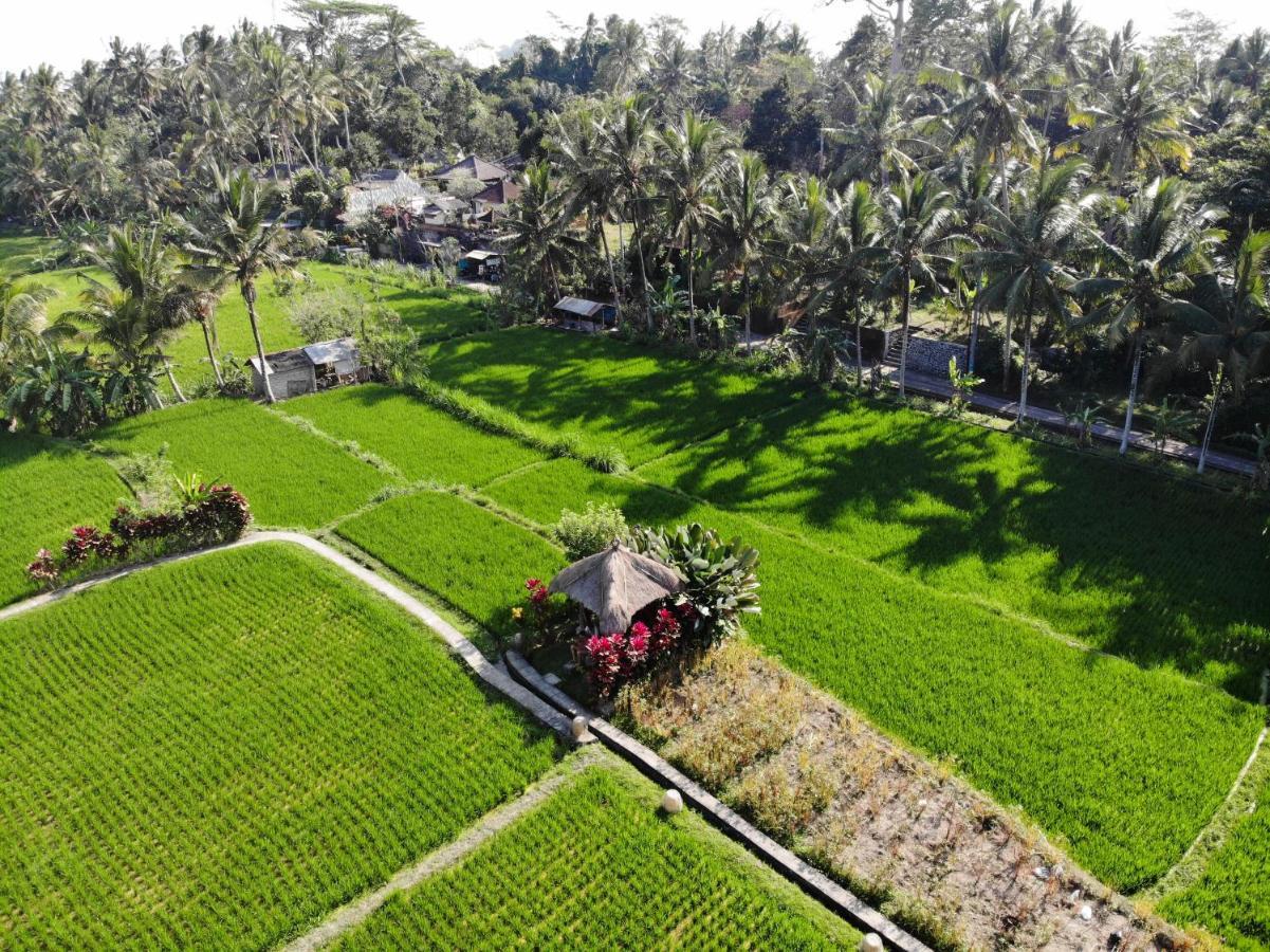 Mathis Retreat Ubud Zewnętrze zdjęcie